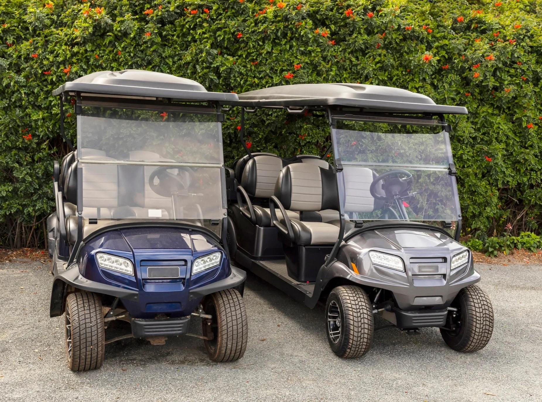 Golf Cart Rentals